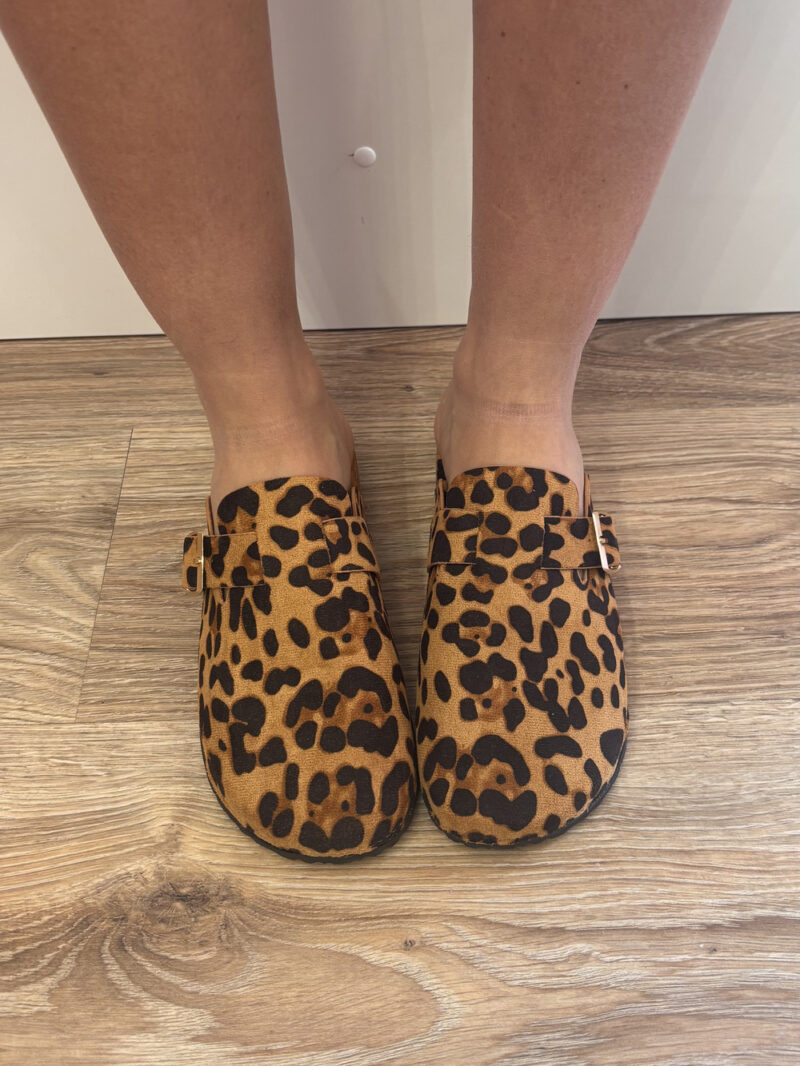 birk animalier - immagine 4