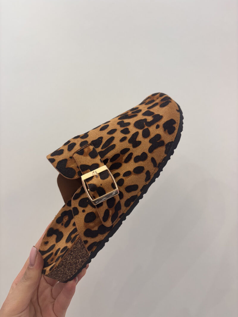 birk animalier